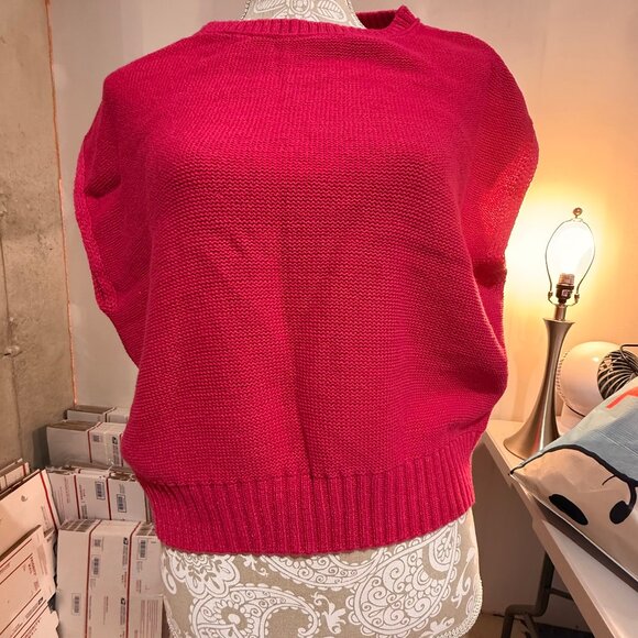 Loft XL Pink Knit Sweater Vest - Picture 1 of 3